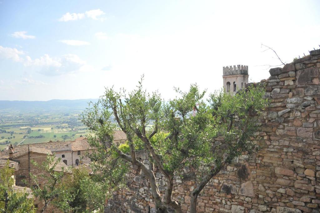 Bed and Breakfast Vico Del Poeta Assisi Exterior foto